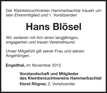 Traueranzeige von Hans Blösel von Pegnitz-Zeitung
